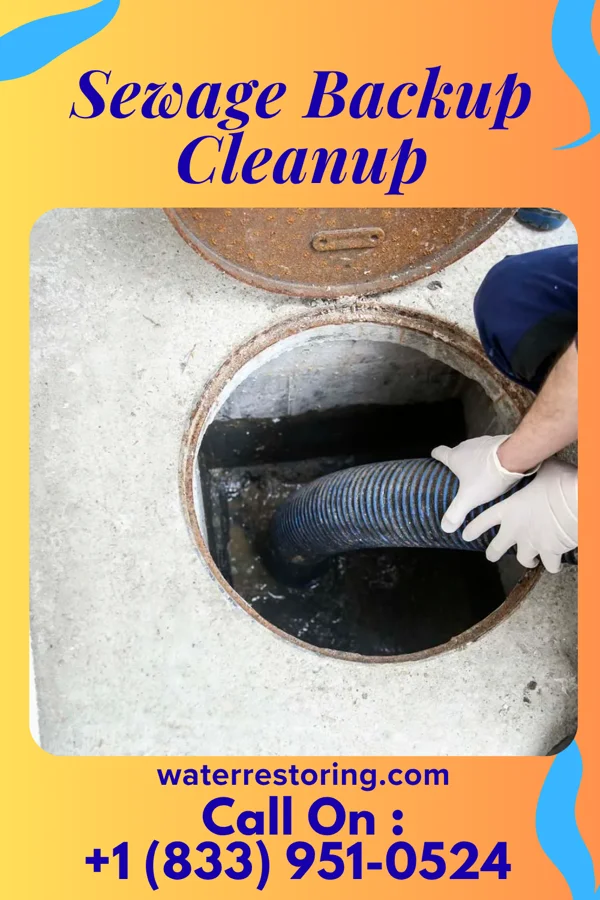 Sewage Backup Cleanup in Port St. Lucie, FL